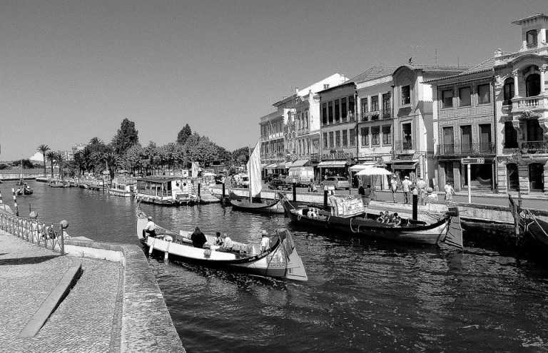 Portugal - Aveiro - Melodies and Flavours in Portugal: A cultural and Culinary Journey Through Porto, Aveiro&nbsp;and&nbsp;Coimbra - 1