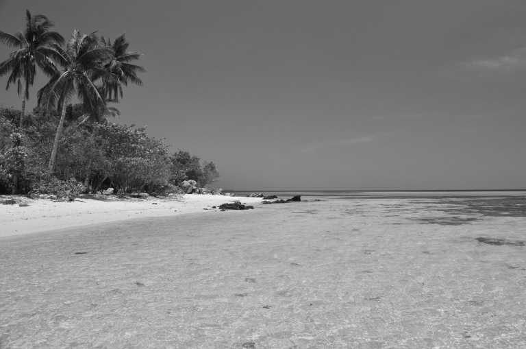 Indonesia - Karimunjawa - Backpacking to Karimunjawa : Exploring Tropical Island and Beach in Java, Indonesia - 2
