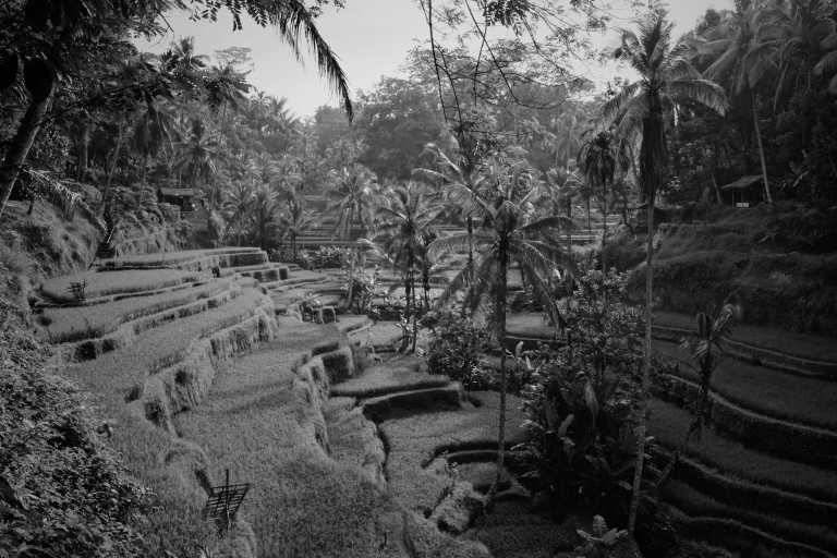 Indonesia - Bali - Unveiling Bali's Hidden Charms - The most famous island of Indonesia