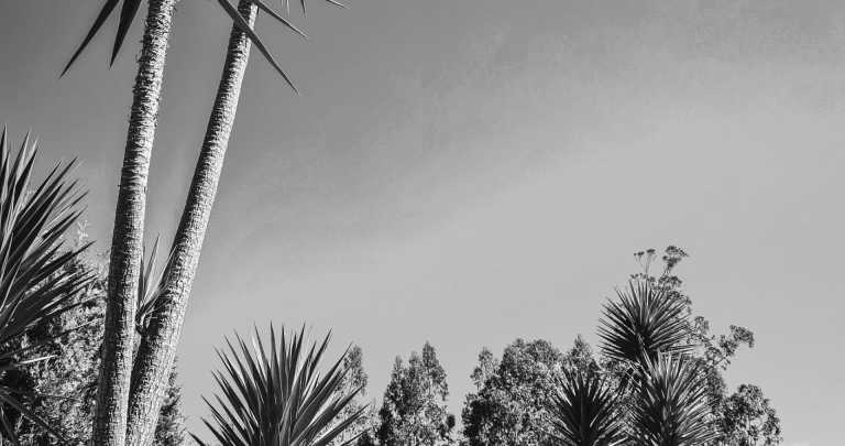 Portugal - Madeira Islands - MADEIRA: Hike + Beach+  Chill + Highlights der Insel - 3