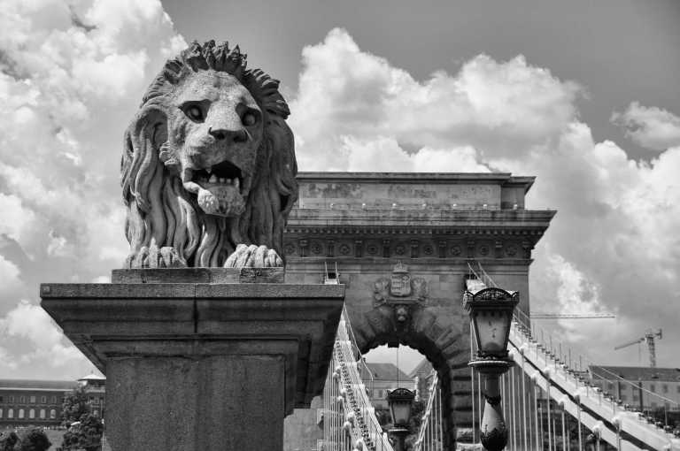 Hungary - Széchenyi Chain Bridge - Budapest Christmas Countdown: Markets, Lights, & Iconic Sights