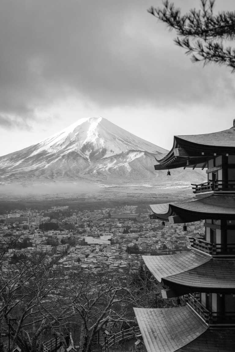 Japan - 🇯🇵Japan Trip To The Future :Food, Culture, Snow & Wildlife - JoinMyTrip