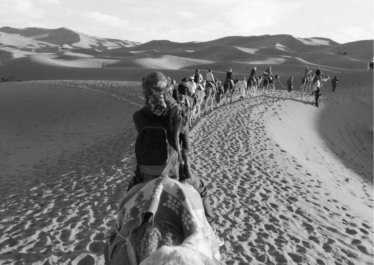 Marokko - Embark on a Mind-Opening Morocco Tour: Explore Fes, Casablanca, Marrakesh, and Essaouira with a Local - JoinMyTrip