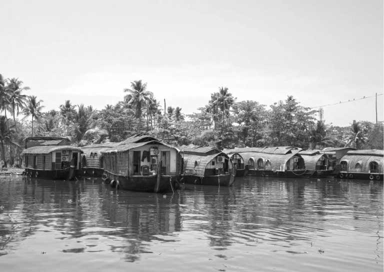 India - Authentic Kerala Experience: Unveiling the Beauty of God's Own Country, India (Private Room) - JoinMyTrip