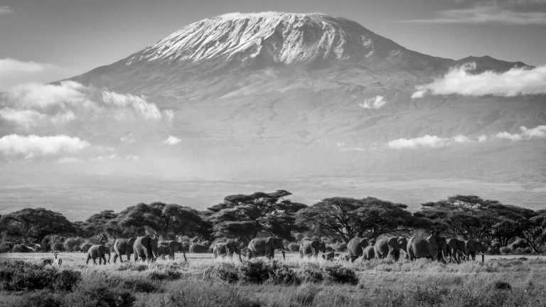 Tanzania - Kilimanjaro Lemosho Route + Safari - JoinMyTrip