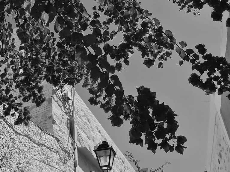 Greece - Embark on a Dream Adventure : Explore the Cyclades with a Local !! - JoinMyTrip