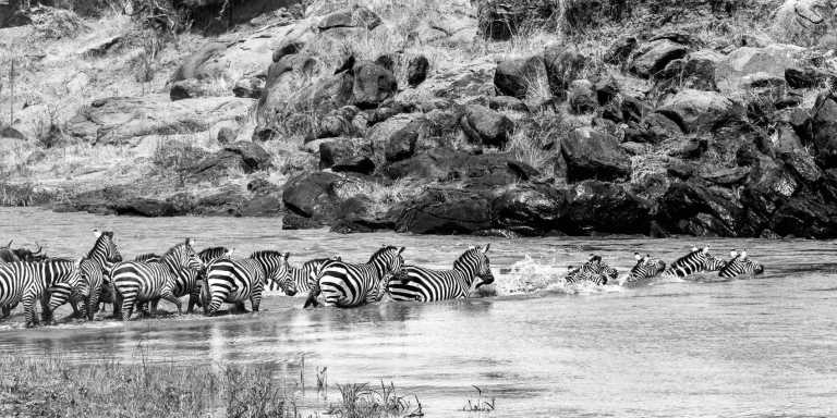 Kenya - Maasai Mara National Reserve - 🌍 Wild Wonders of Kenya | All-Inclusive Raw Nature Jeep Safari 🐘🦁🌅 - 2