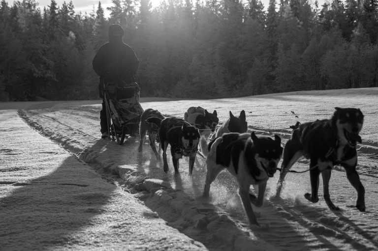 Sweden - Unforgettable Winter Experience In Swedish Lapland - All Inclusive - JoinMyTrip