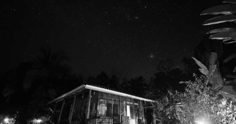 Costa Rica - La Gamba centro - Co-working und Volunteering im Regenwald Costa Ricas - 3