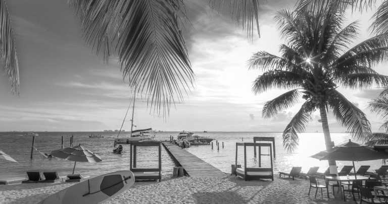 Mexico - Playa del Carmen - Adrenaline + Beach + Coworking trip to Playa del Carmen, Mexico 🪂🌊🐱‍💻