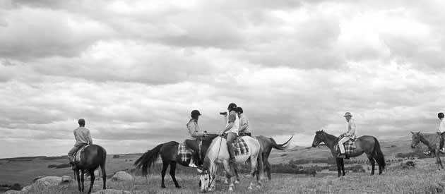 South Africa - Durban - Trip to Khotso, South Africa-Enjoy Horse Trails, Adventure and Wildlife ☀️🏇😊 - 1