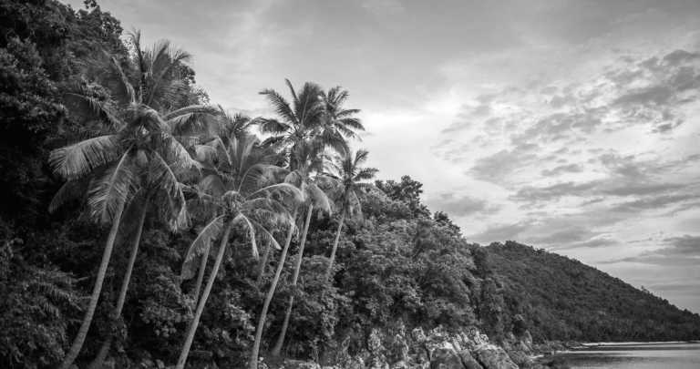 Thailand - Ko Pha Ngan - Focus, Create & Connect – A Coworking Adventure on Koh Phangan - 4