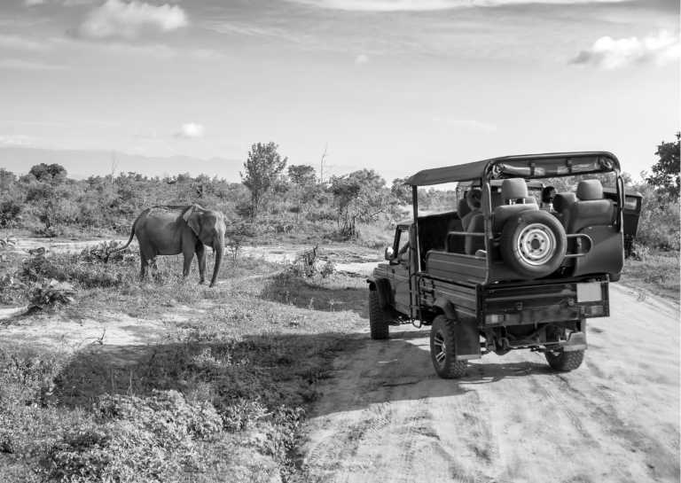 Kenia - Kenya 7 Day Lodge Safari Including Masai Mara, Lake Elmenteita and Lake Nakuru - JoinMyTrip