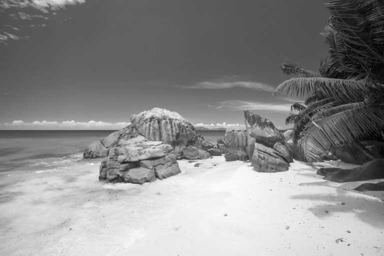 Seychelles - Mahé - Island hopping on the Seychelles 🏝️ Visit Turtle Island 🐢 hike UNESCO National Parks 🚵 chill on the world`s most beautiful beach and visit a local rum distillery in a tropical paradise (January 2024) - 3