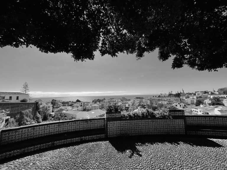 Portugal - Funchal City Center - Coworkation, Coliving and Adventurous Hiking Trip with a Knowledgeable expat on the dream island of Madeira (Single rooms) - 1