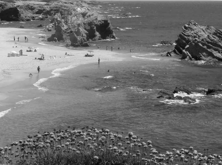 Portugal - Sines - Escape to Melides, Portugal: Nature, Relaxation, and Coworking Await! - 1