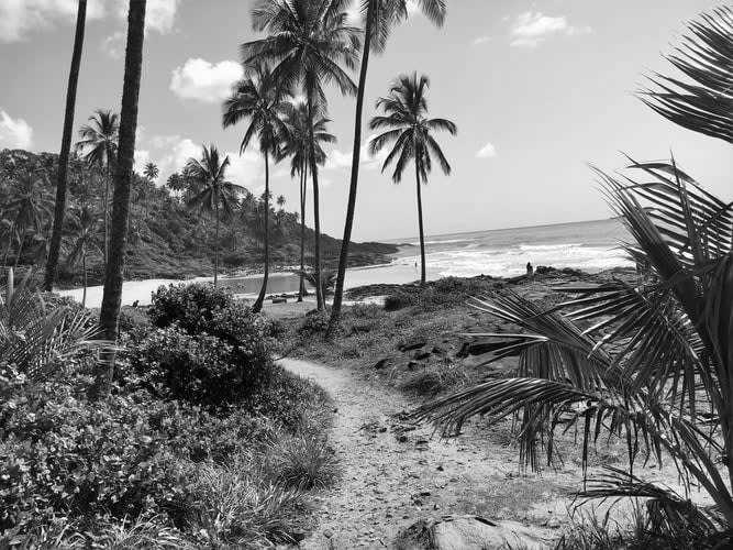 Brasilien - Brasiliens Nordosten mit dem Auto entdecken - JoinMyTrip