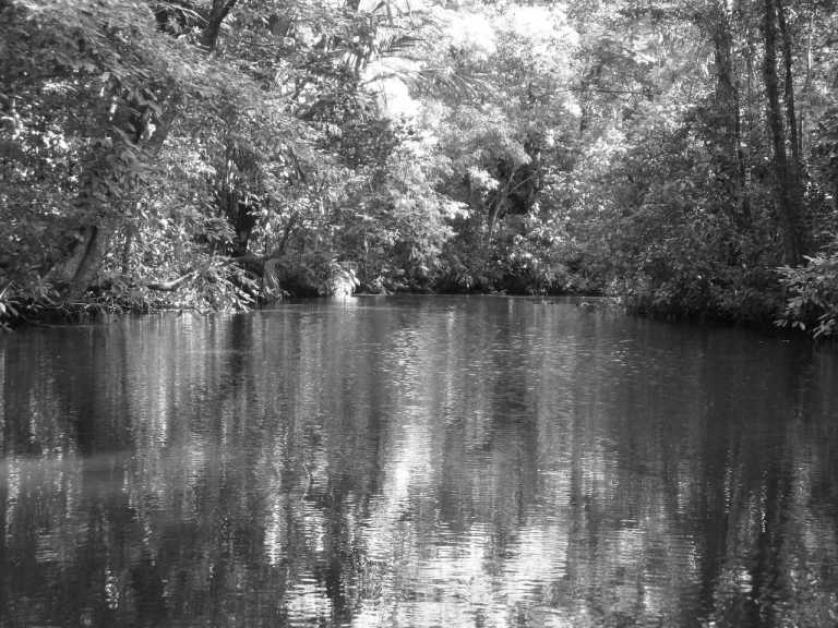 Costa Rica - Tortuguero - Caribbean Dreams: Explore and Relax in Costa Rica's Exotic Paradise