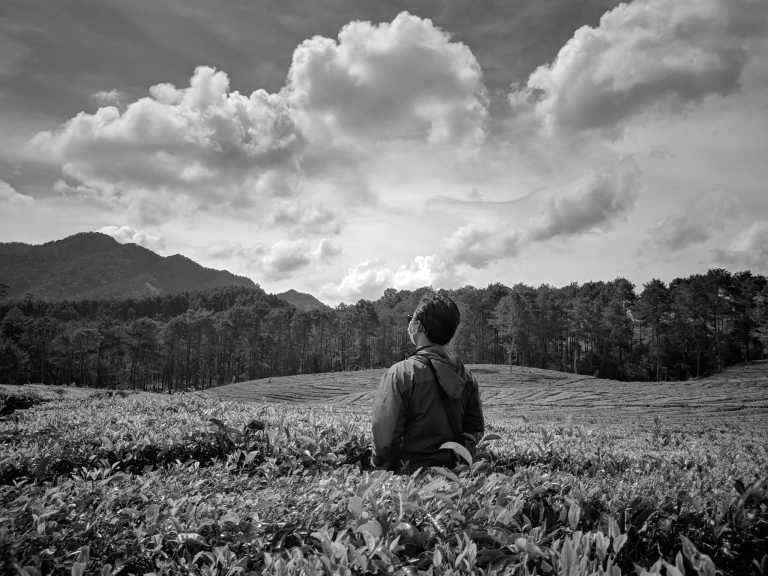 Indonesia - Sukawana Tea Plantation - Indonesian Adventure: Trekking from Tangkuban Perahu to Burangrang Mountain - A 4-Day Cultural Expedition - 1