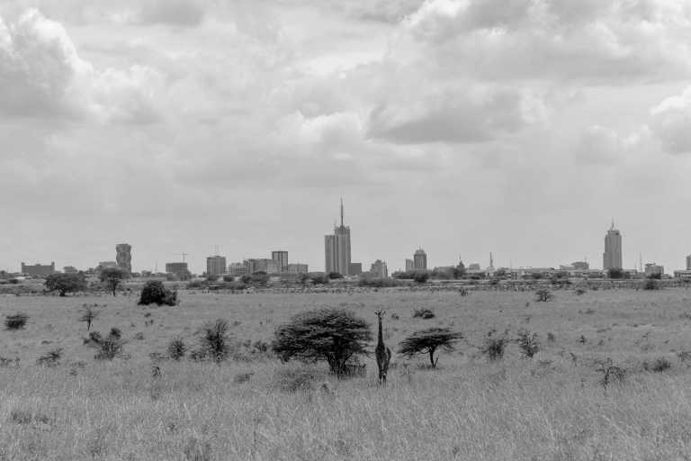 Kenya - Nairobi - Safari Adventure in 4x4 Jeep to Masai Mara - Lake Nakuru - Amboseli - Nairobi🦁ALL inclusive! - 1