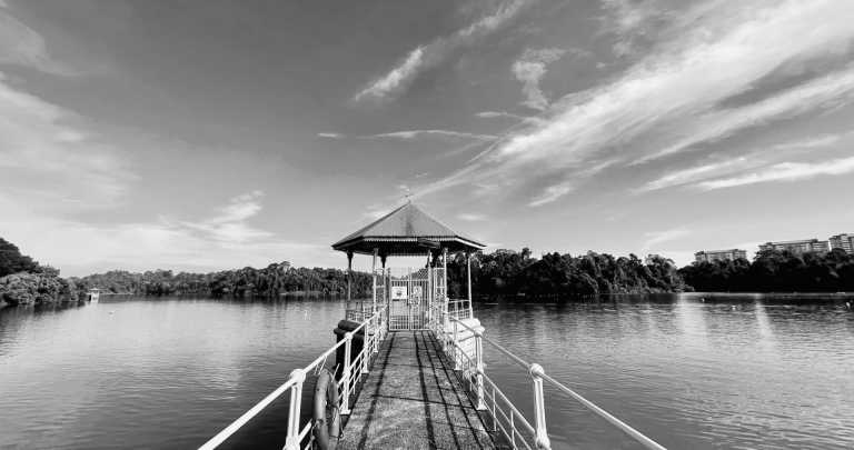 Singapore - MacRitchie Reservoir - Singapore like a local: Street Food, Tropical Islands and Crazy Nightlife!