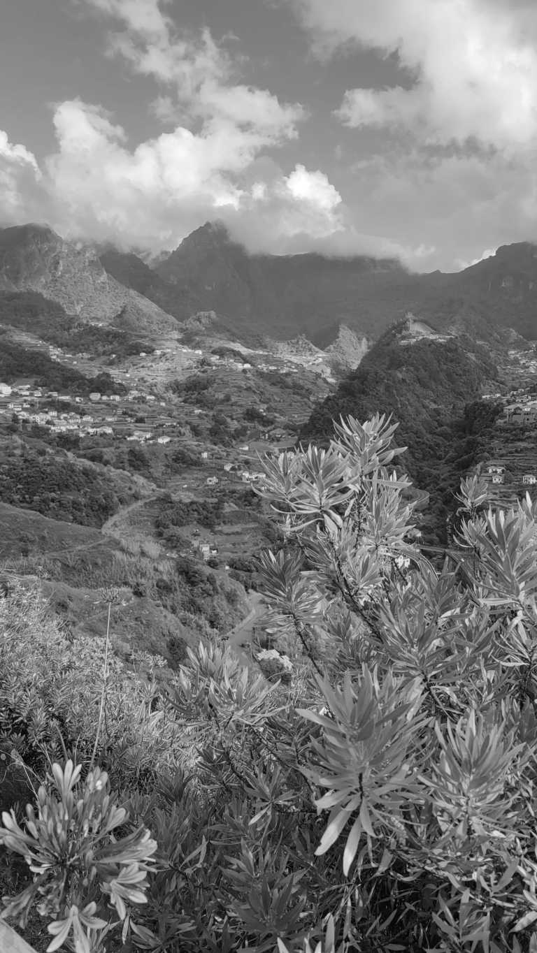 Portugal - Praia de Seixal - ☀️ Hike, explore and more..  Adventure in Hawaii of Europe, Madeira, Portugal  🌺🏝️ - 2