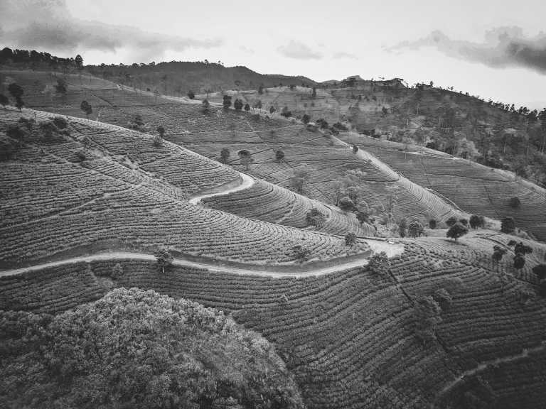 Sri Lanka - Tea Plantation - Weekend in Ella, Sri Lanka - Viewpoints, Hiking, Waterfall and More!