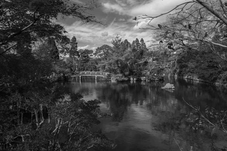 Japan - Kyoto - Land of the Rising Sun: A taste of Japan - 2