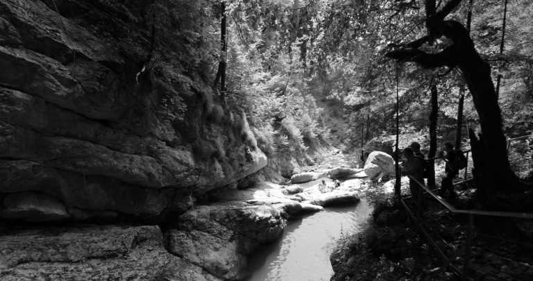 Deutschland - Starzlachklamm - Step into the Flow | Allgäu | Fellhorn Ridge Experience | German Alps | 3 days - 3