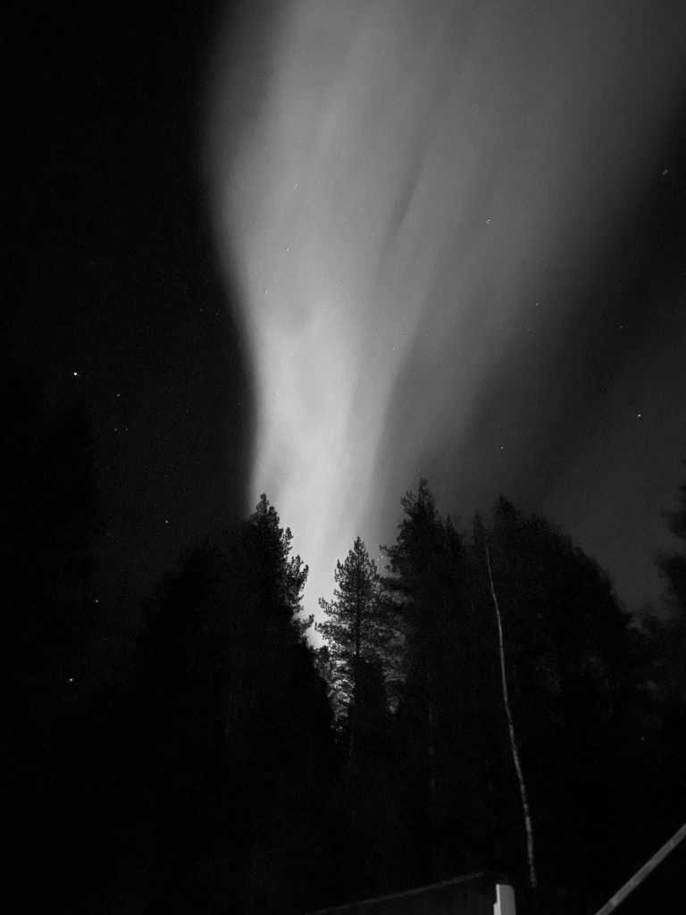 Sweden - Kuouka - Weekend Winter Experience Trip: Dog Sledding, Snowmobiling, and Norden Lights (All included) - 1