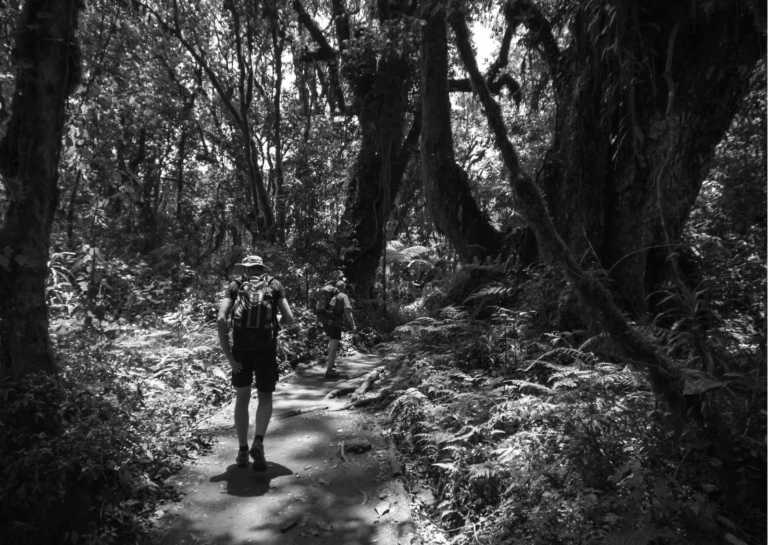 Tanzania - Unleash the Adventure of a Lifetime: Hiking Kilimanjaro in Tanzania - JoinMyTrip