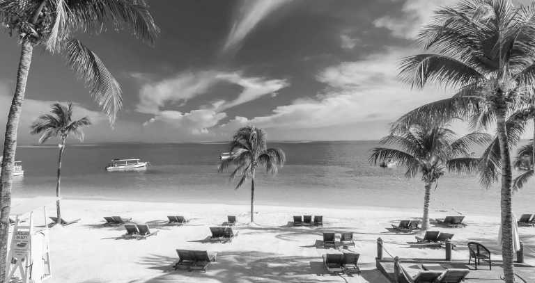 Jamaica - Nirvana All inclusive Self Love Retreat, Ocho Rios, Jamaica! - JoinMyTrip