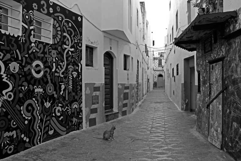 Morocco - Asilah Beach - Retreat in North Morocco - Beach of Asilah - 1