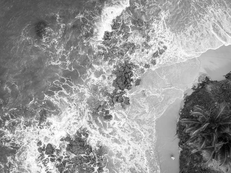 Brazil - Into the Wild: Brazil’s Southern Jungle Adventure with a Local - JoinMyTrip