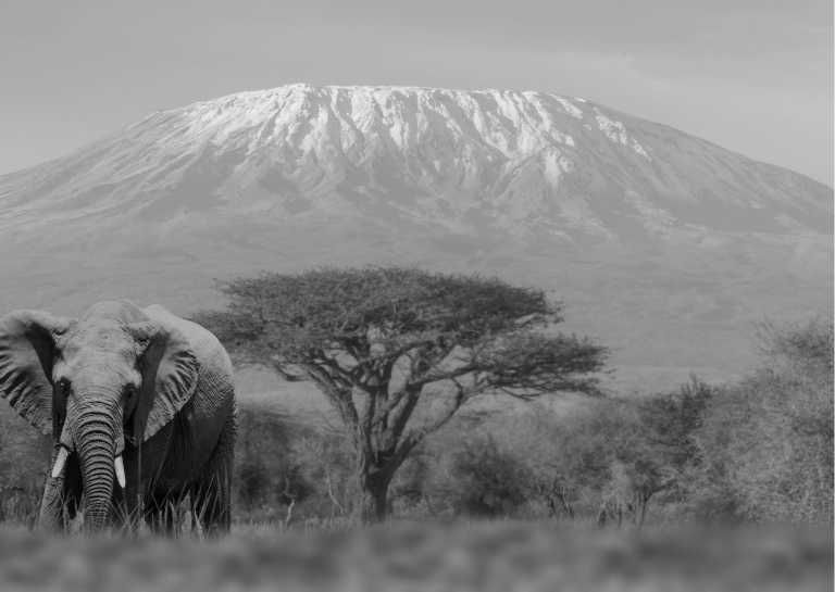 Tansania - Explore the Machame route in Kilimanjaro, Tanzania 📍 - JoinMyTrip