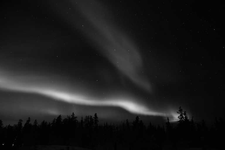 Norway - Tromsø - Northern Lights and Arctic Wonders: Winter Expedition in Norway - 3
