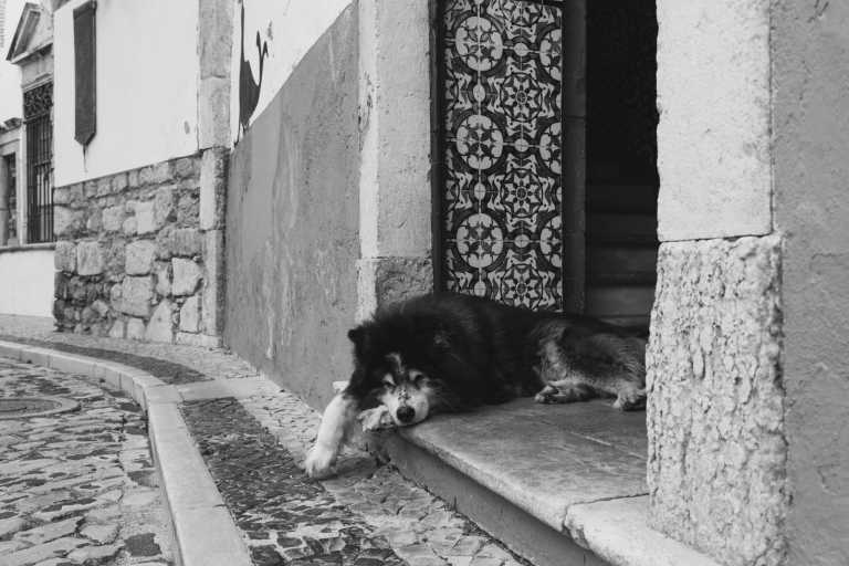 Portugal - Faro - Algarve Road Trip: 8 days in Southern Portugal - 1
