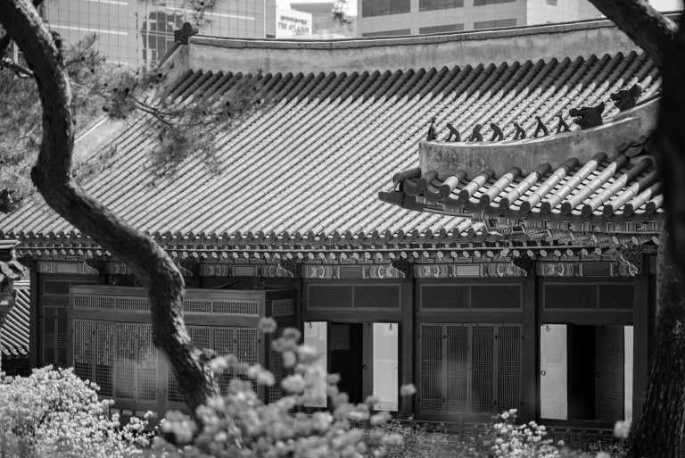 Korea, South - Seoul - 🌸Great Discovery in South Korea: Exploring City and Historical Site, Surfing Adventure, Nature Exploring on Jiri Mountain, and Local experience in Jimjilbang! - 3