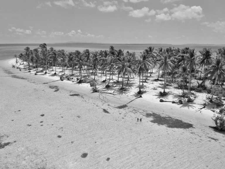 Philippines - Balabac - 10 Days on a Wild Trip through Philippines Islands🏖️🌴🐚🌊 - 1