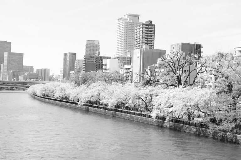 Japan - Osaka - 🌸 April Japan Trip: Osaka-Kyoto-Nagoya-Fuji-Tokyo 🎉 - 2