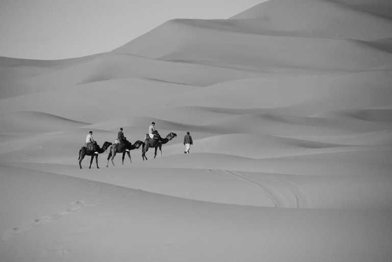 Jordan - Wadi Musa - Jordan : Road Trip Adventure - 1