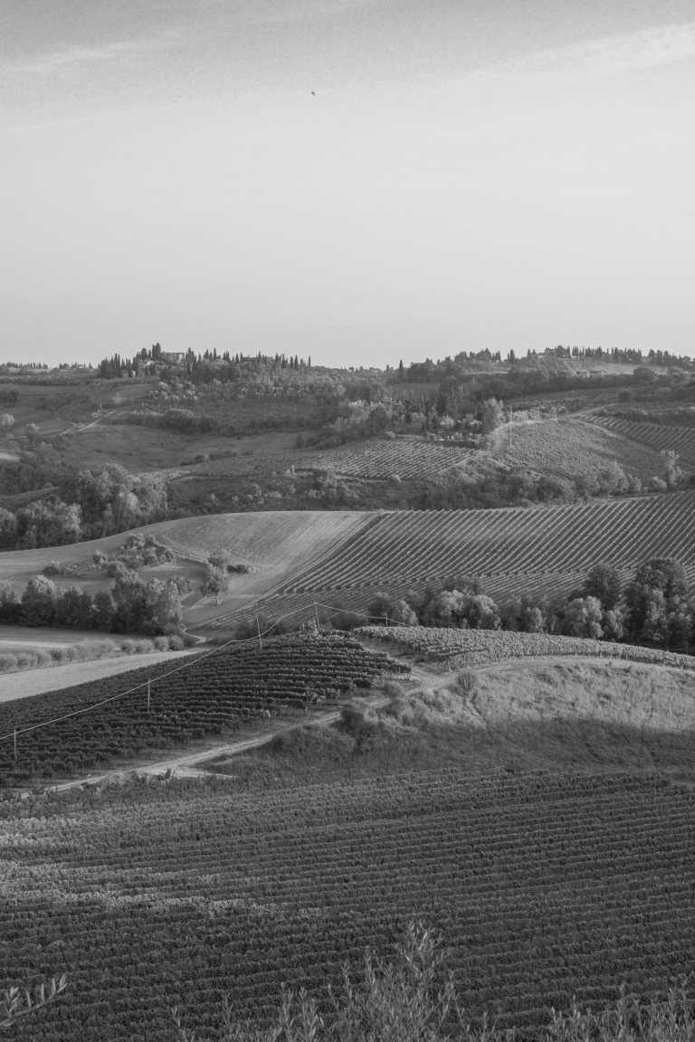 Italy - Bucine - Workation in Tuscany🍷 Work, Chill and... Pizza!