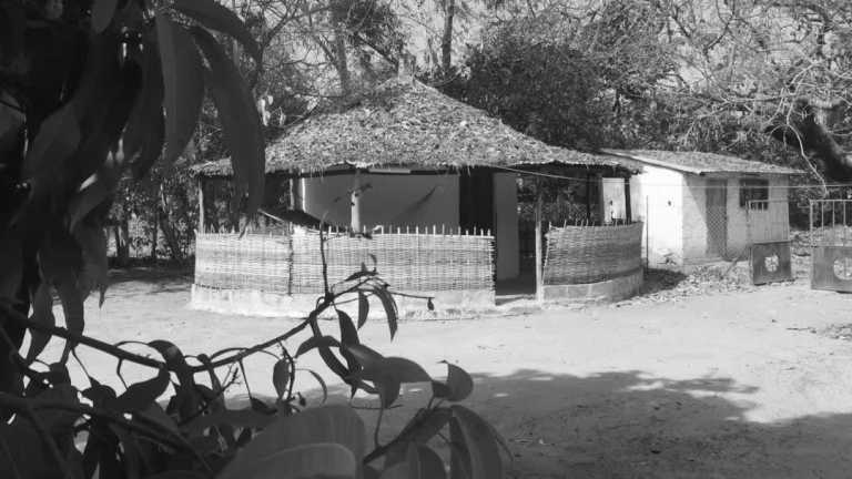 Western Africa - Barra - Abenteuerreise nach Afrika - Gambia 😊 - 1