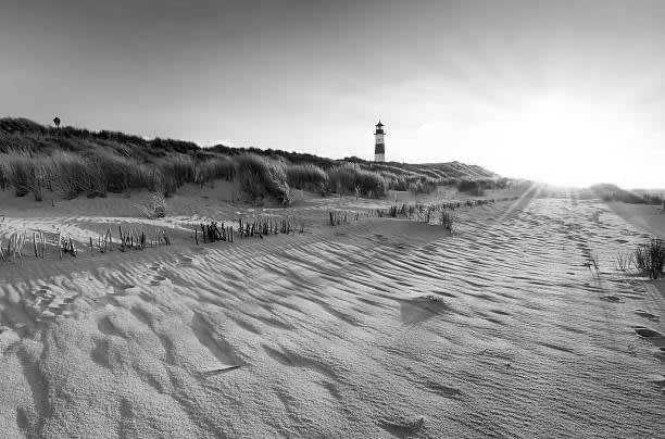 Germany - Sylt: Discover the Island Paradise of Germany - JoinMyTrip