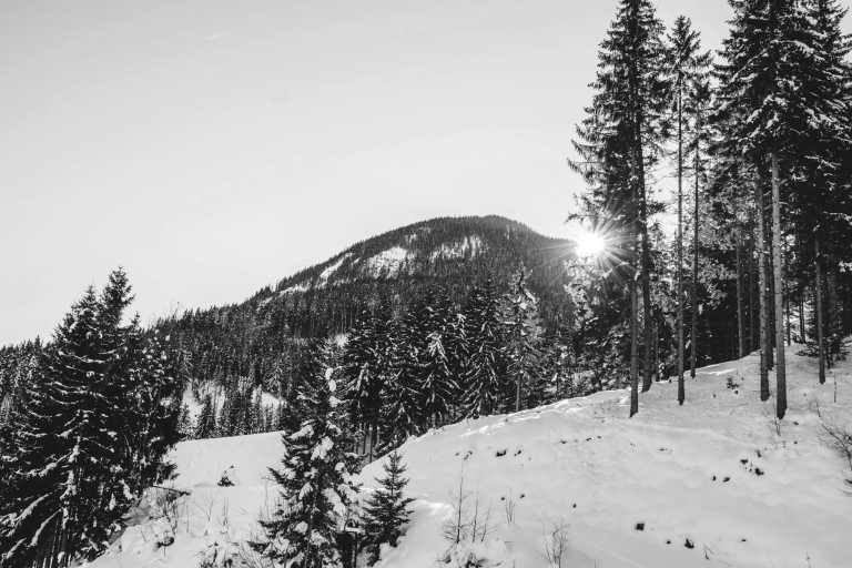 Austria - Tiroler Zugspitz Arena - Snow trip to Austria with my huskies 🐾❄️ Winter hikes | Skiing | Tobogganing - 1
