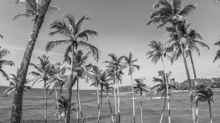 Sri Lanka - Sri Lanka Work, Surf, Beach & More – Single Room - JoinMyTrip