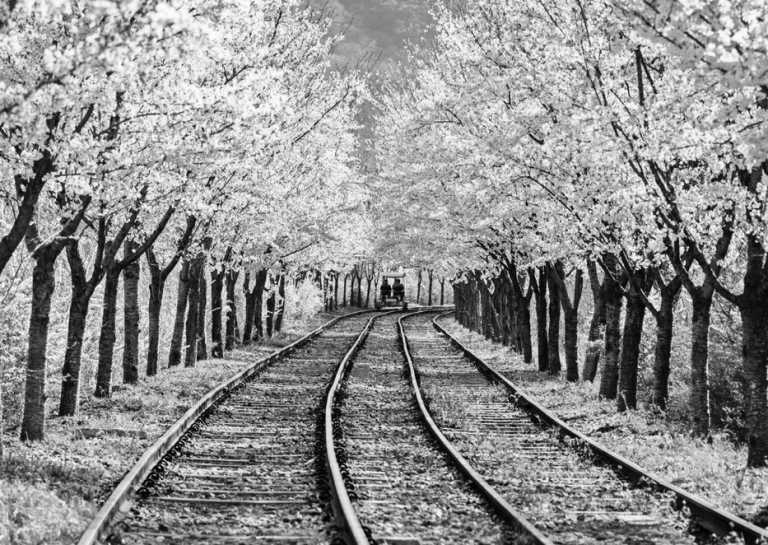 Korea, South - 🇰🇷 Entdecke Südkorea in 10d mit dem Zug - Backpacking Trip inkl. 🇰🇵 DMZ, Strandtage, Höhlenbesichtigung, Natur und Streetfood 🌿🏖️🪨🏯 - JoinMyTrip