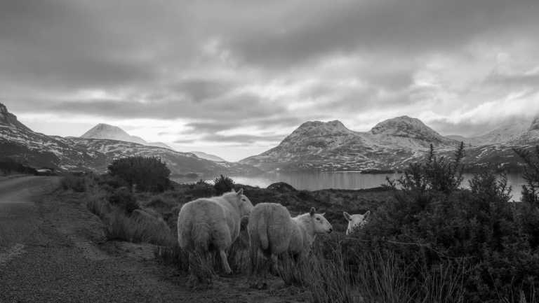 United Kingdom - Schottland - Wandern in den Highlands - JoinMyTrip