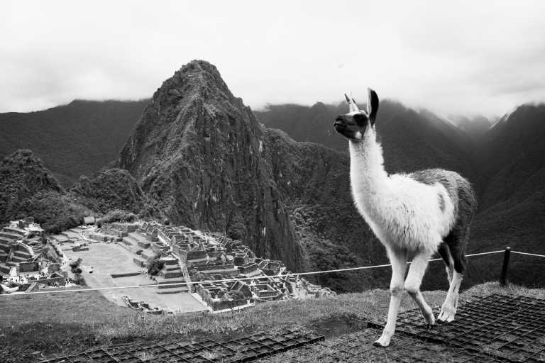 Peru - Unveiling the Wonders of Machu Picchu and Amazon Rainforest, welcome to Peru! (For couples) - JoinMyTrip