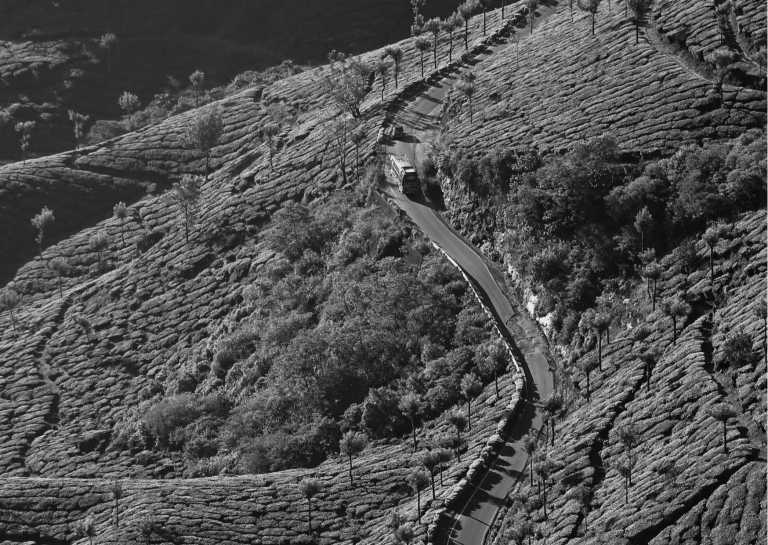 Indien - Munnar - Explore the Enchanting Beauty of Munnar, India: A Journey into Nature's Wonders - 2